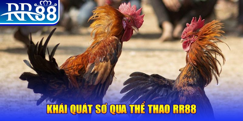 sudoku baccarat bịp như thế nào