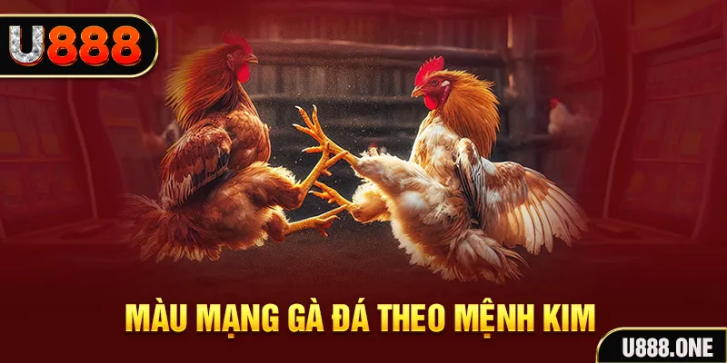 sudoku gà chọi tiêu phong