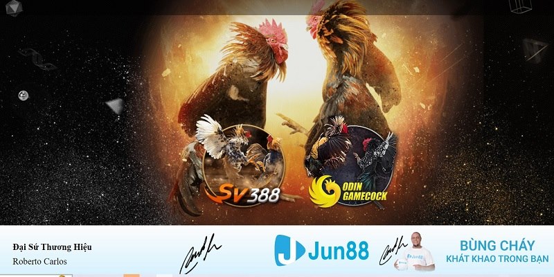 sudoku xổ số miền nam hàng tuần