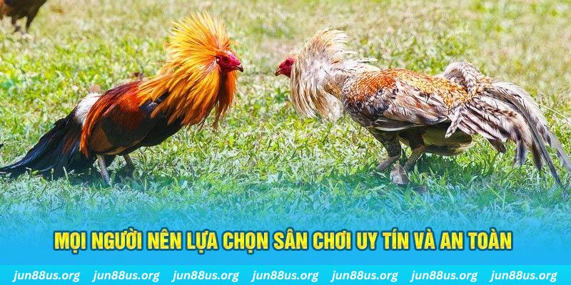 sudoku hơn cả bạn bè