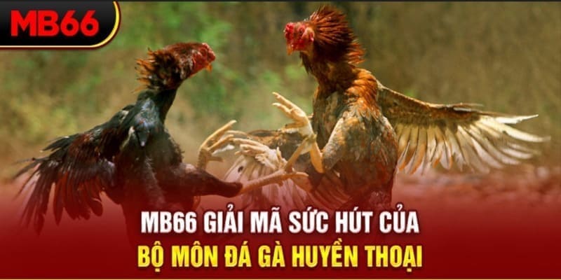 sudoku long bảo trong baccarat là gì