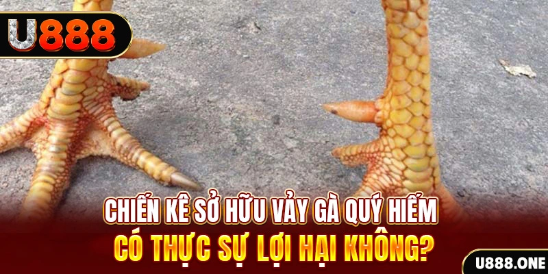sudoku game cá cược máy bay