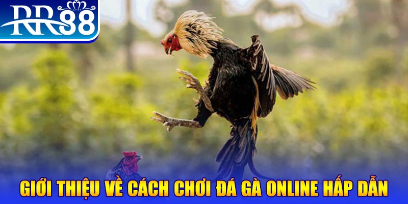 sudoku nổ hũ 2 mặt là gì