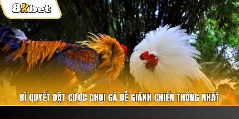 sudoku may club nổ hũ