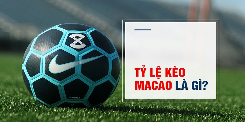 sudoku Trăm Knorr