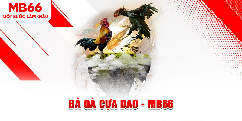 sudoku xổ số miền bắc thứ năm hàng tuần